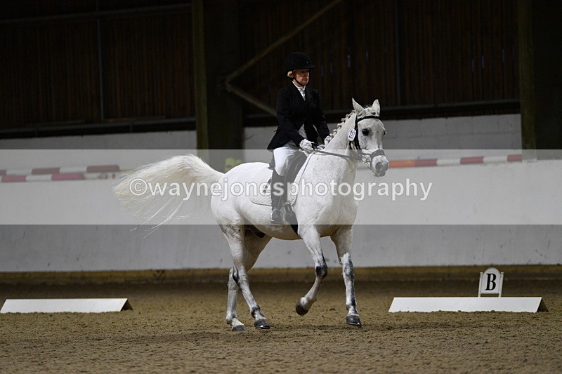 WJ5_8789 - Class 5 Novice Test 3