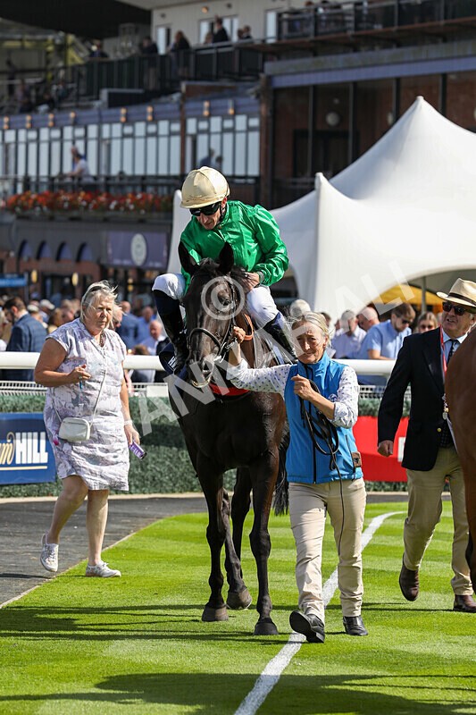 310824-Race 1-Quietness-0990 - Race 1