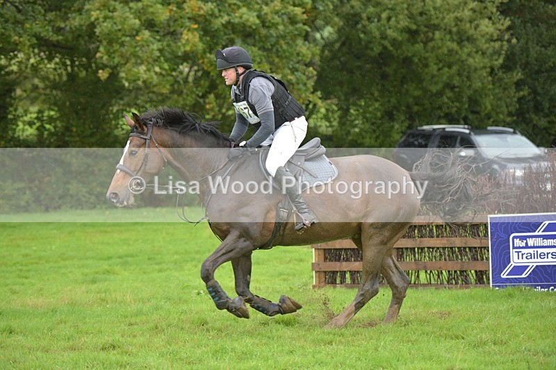 RAY_0529 - Class 4: 80cm: Double of Brushes