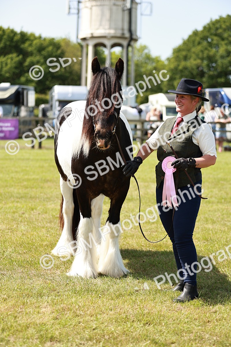 SBM_04283 - Class 39-40 - BSPA Coloured In Hand