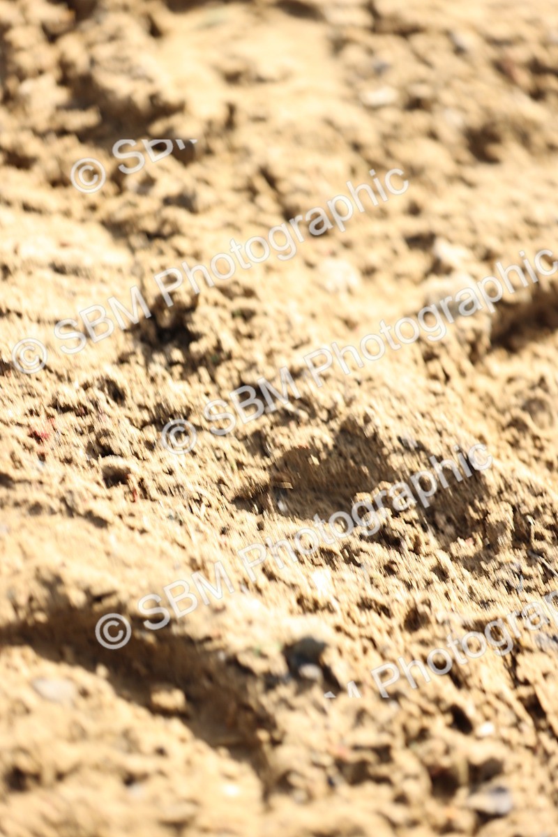 SBM_012073 - Class 10 - Talent Seekers Inc 7 Year Championship Qualifier - 2nd Half