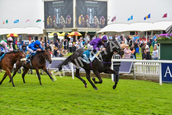 180523-Race 6-Cuban Thunder-9872 - Race 6 4.45pm Frank Whittle Partnership ebfstallions.com Maiden Stakes