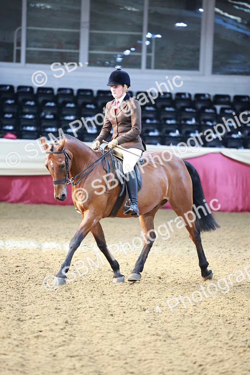 SBM_11847 - Class 102 - Equitation (Best Rider) Adult