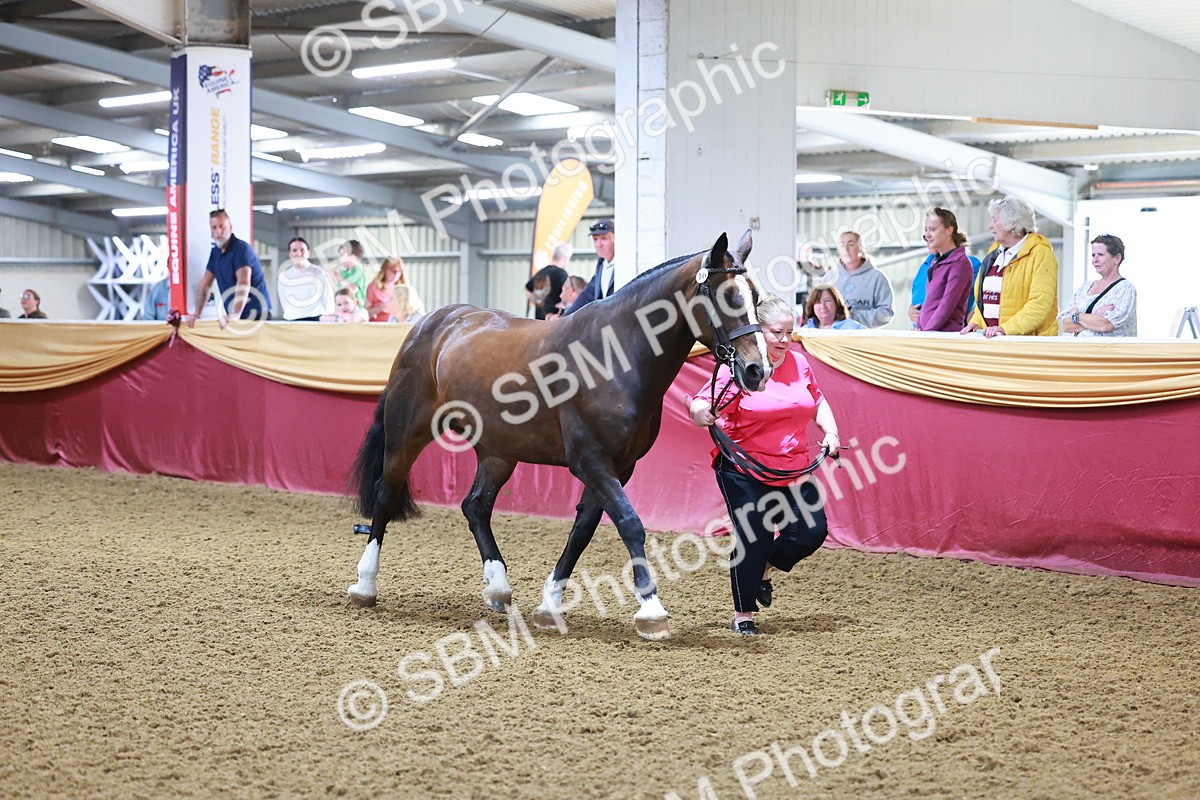 SBM_14700 - Class C - Novelty champ