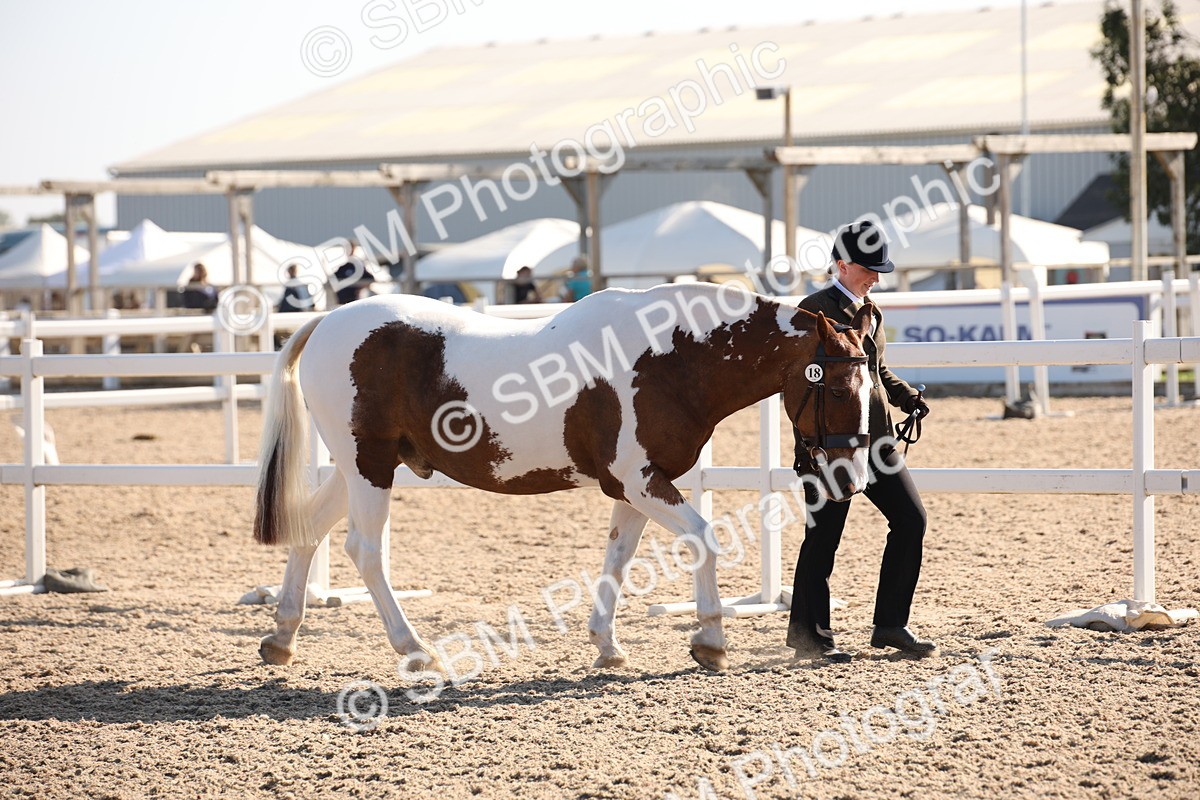 SBM_01438 - Class 15 IH Coloured