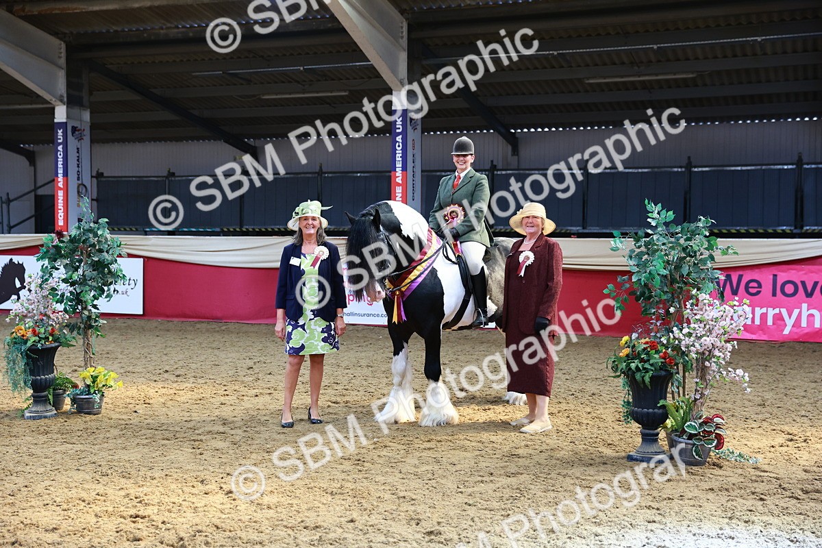 SBM_12775 - HOYS Veteran Qualifier - Ridden Champ