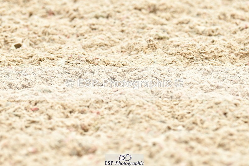 230701A-121727-06043 - Cls 8 Elementary 57