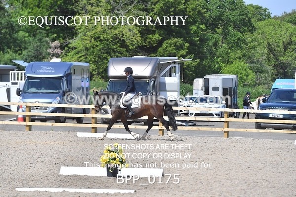 BPP_0175 - SHORT ARENA  MY QUEST PRELIM