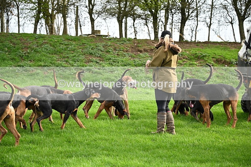 WJ6_9194 - Line Three