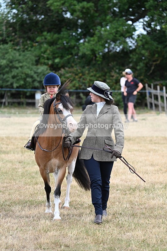 WJ7_9567 - Class 1 Lead Rein Pony