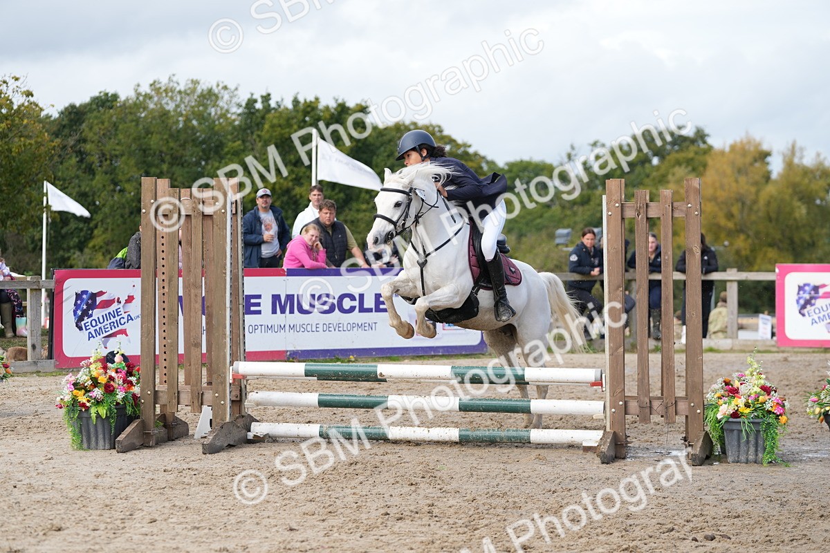 SBM_40805 - Supreme Championship Pony 50-55cm