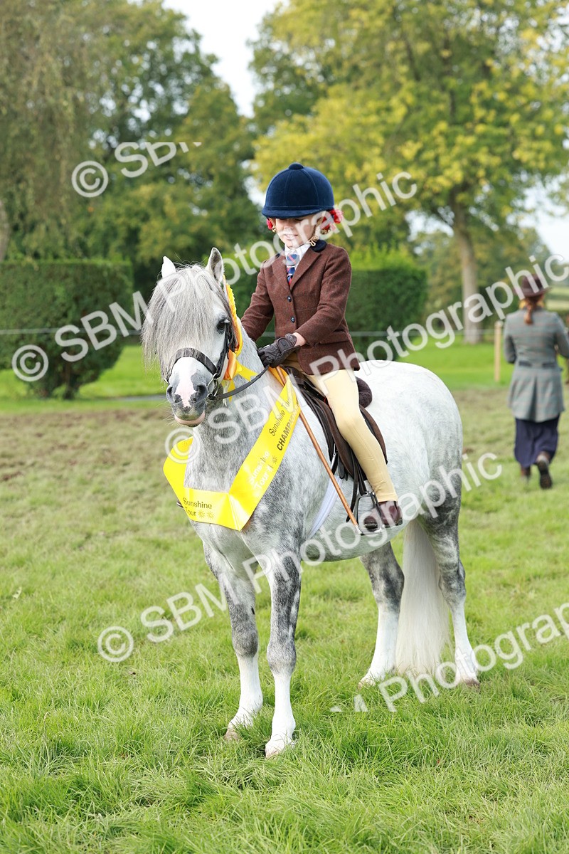 SBM_56455 - S39 - Starters In Hand Showing