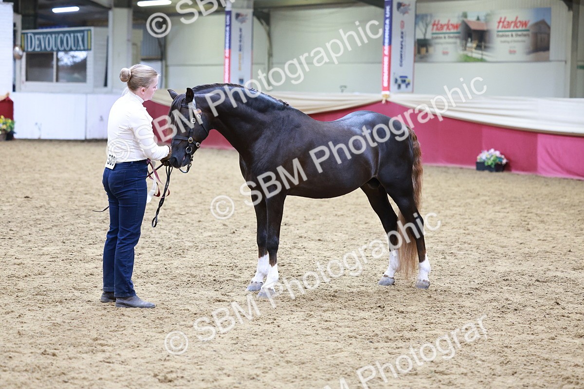 SBM_18952 - M&M Supreme Final champ