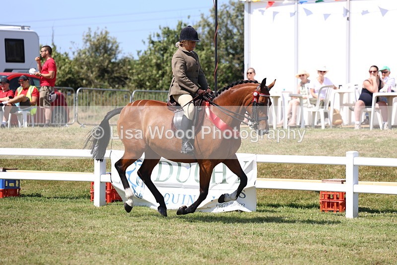 3E7A7642 - Rising Star Ridden Championship