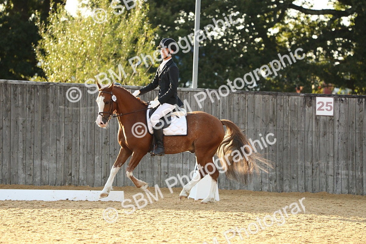 SBM_55241 - D25 - Junior Championships - Novice 24-Elementary 42