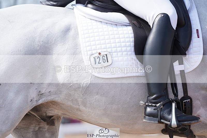 250404-114656-05519 - 026-Anna.Wilson-Mercurio