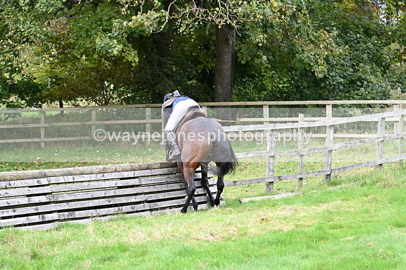 WJ7_4716 - Camera 1 Line 3