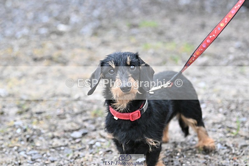 241206-144222-01127 - Naomi