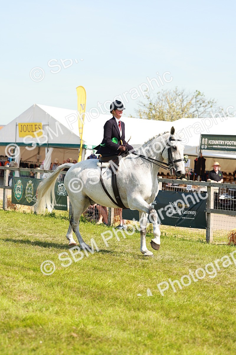 SBM_13294 - Class 70-71 - Side Saddle