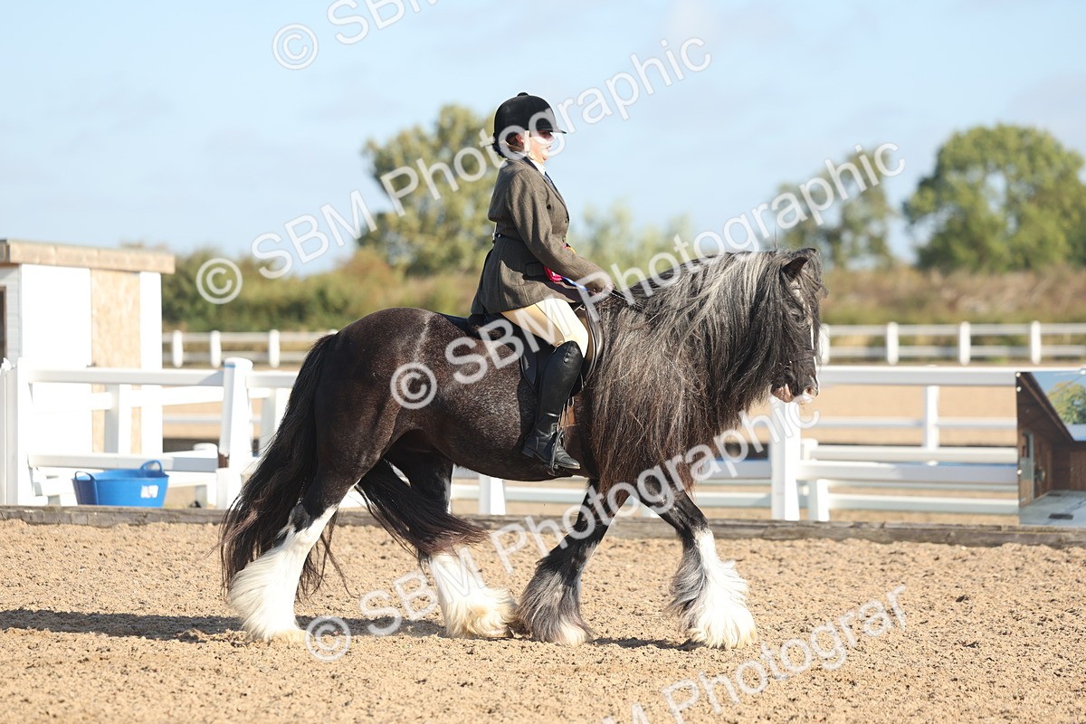 SBM_22266 - Class 802 - Ridden Groom Helpers Class
