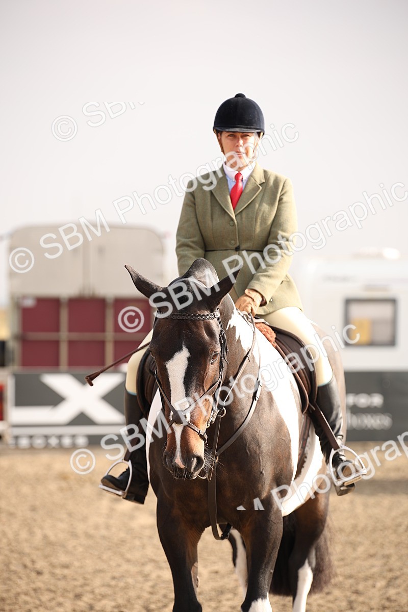 SBM_10234 - Class 402 Riding Club Horse