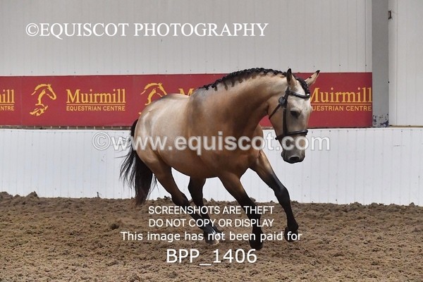 BPP_1406 - MORNING 9AM - 12PM