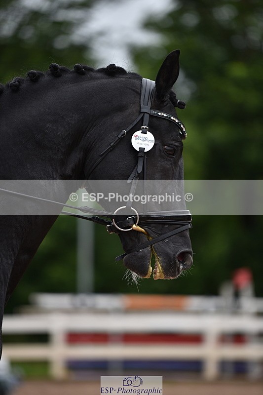 240623A-114612-17321 - Cls 47 BD Novice 22