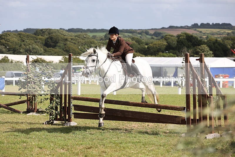 JPP_2581 - Class 20: Working Hunter 70cm