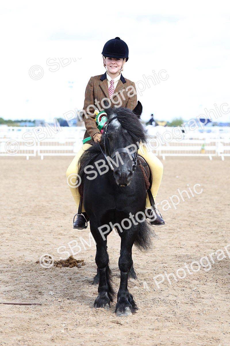 SBM_02407 - Class 19 - Horse or Pony Judge would most like to take home