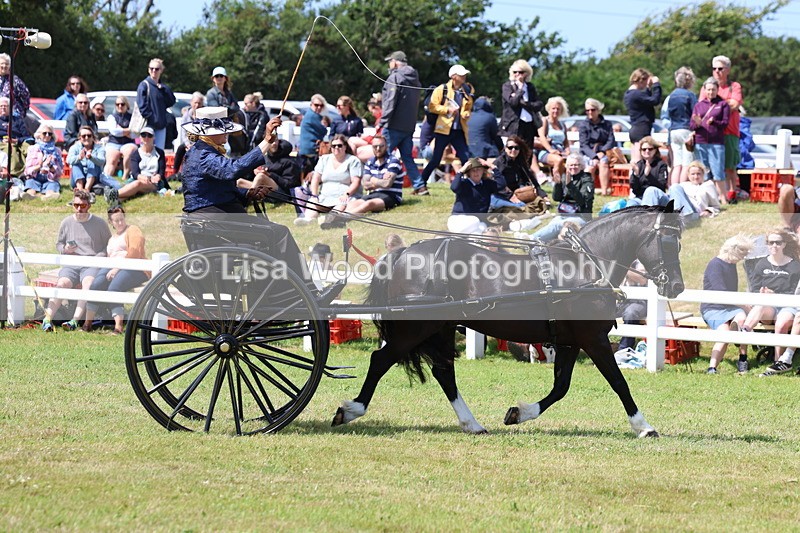 3E7A2827 - Class 12: Open Driving