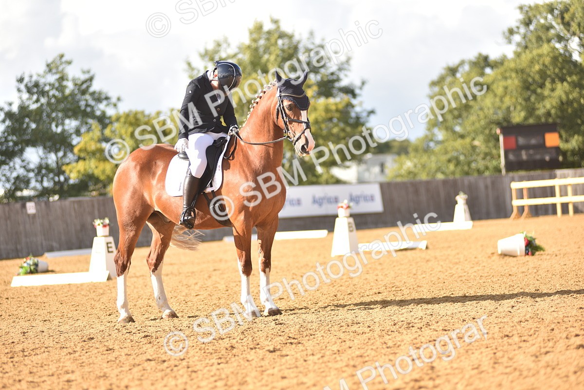 SBM_29584 - D16 -Small Tour Championship Novice 2