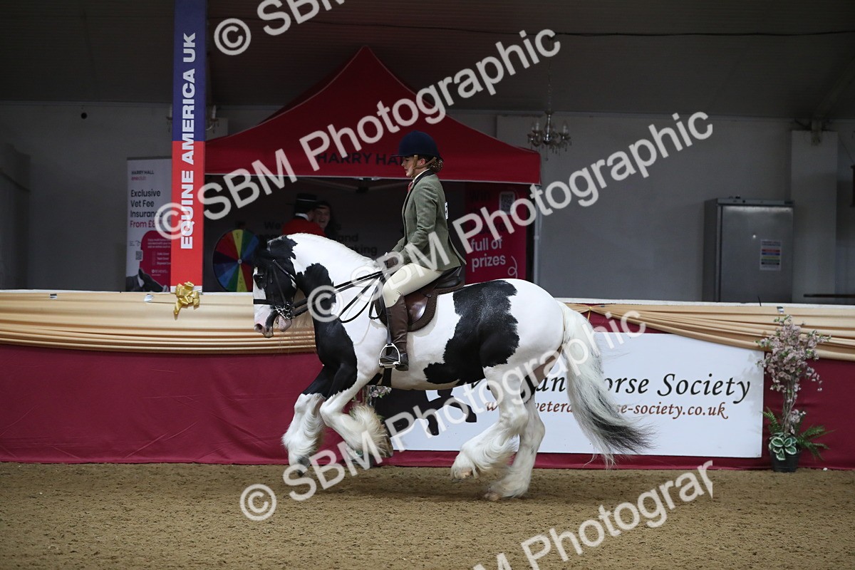 SBM_10442 - Class 102 Equitation (best rider) Adult