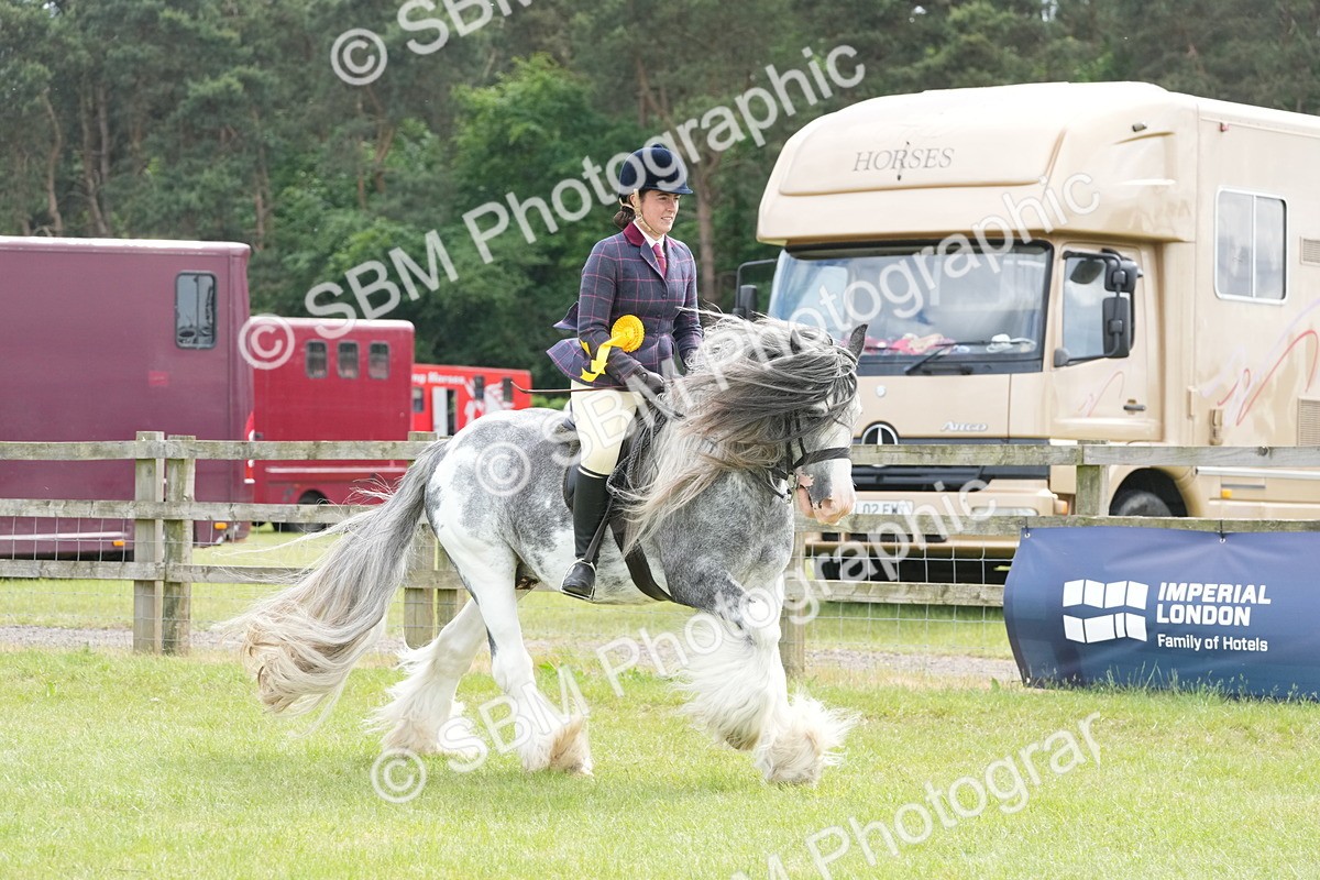SBM_17354 - Class 107-108 - LIHS BSPS Performance Coloured Horse Pony