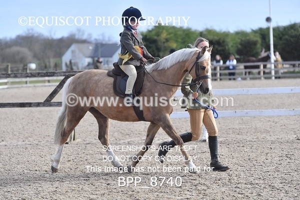 BPP_8740 - TRAINING STAKES