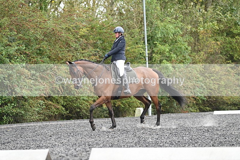 WJ7_6164 - Time 14:10 to 14:45