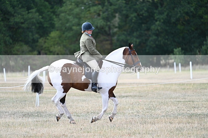 WJ7_7199 - Class 14 Ridden Coloured