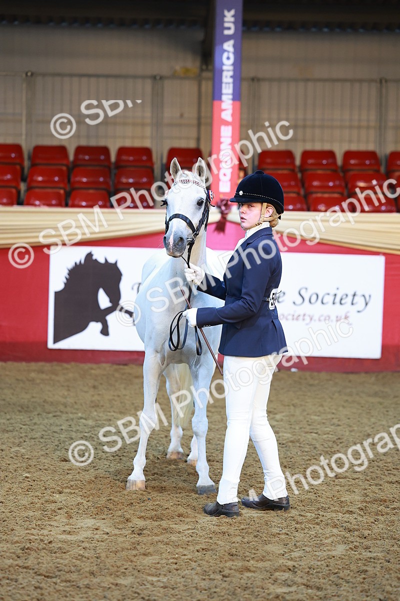 SBM_14704 - Class B - Junior Champ 11 to 16 Years
