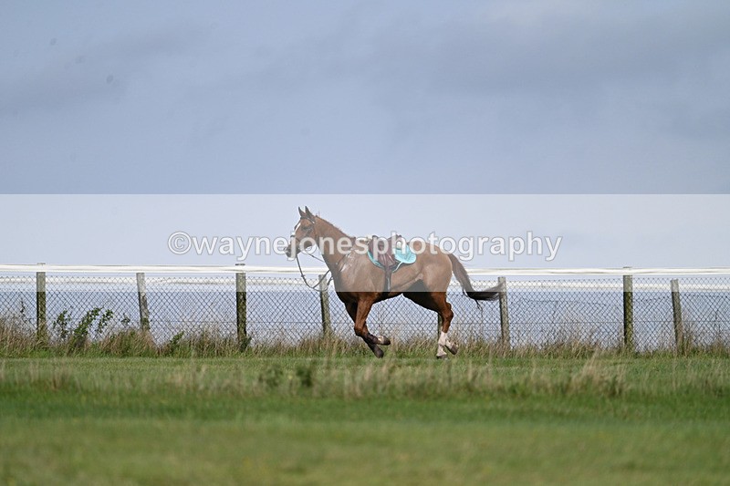 WJ7_7522 - Time 13:21 to 13:29