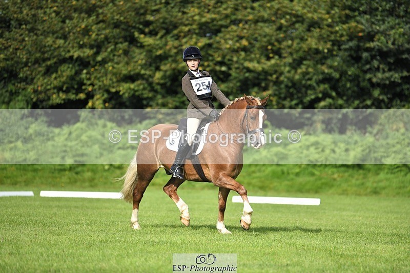 230826-091342-15058 - Sections C & D 9 to 10am