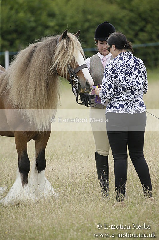 B230619-0754 - Bourne Valley Riding Club Summer Show 23/06/19