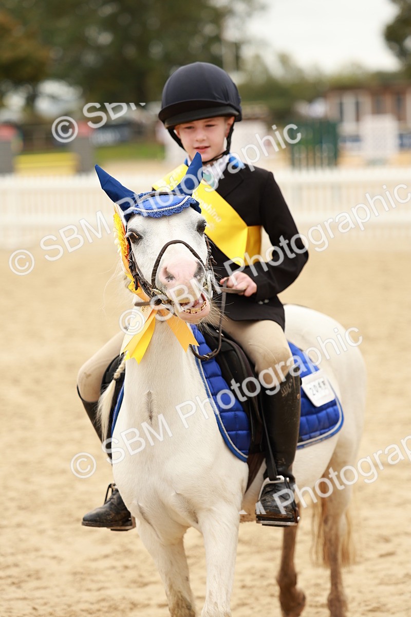 SBM_58074 - J11 - Junior Pony 50cm Championship