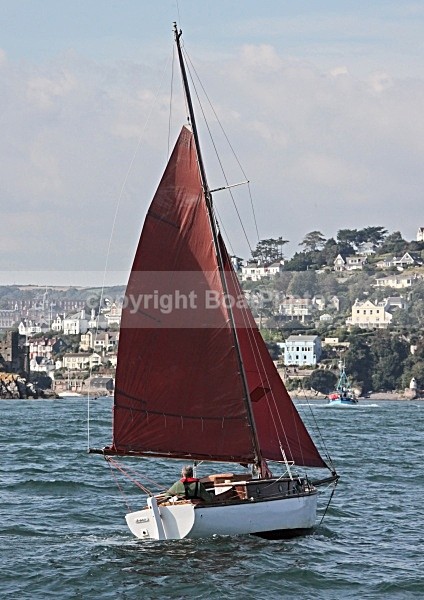 090913 DOLPHIN IMG_6685 - Sailboats - monohull