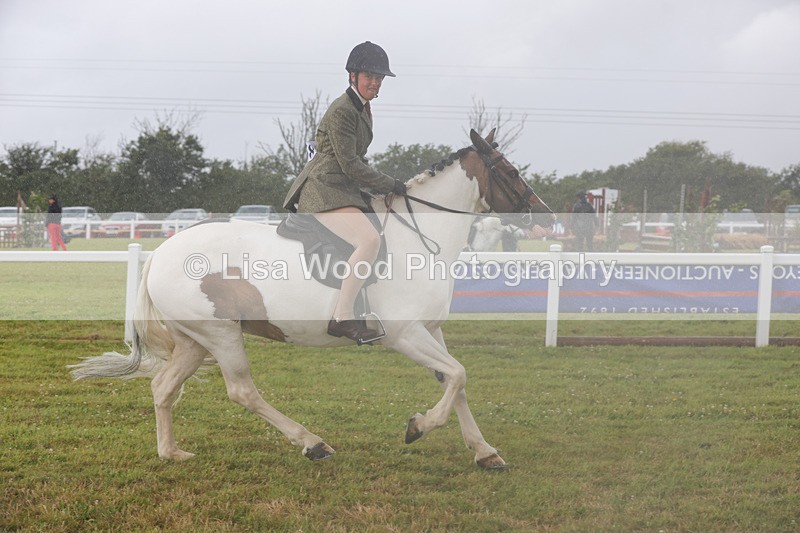 1X9A3016 - Class 26: Ridden Plaited Coloured Pony
