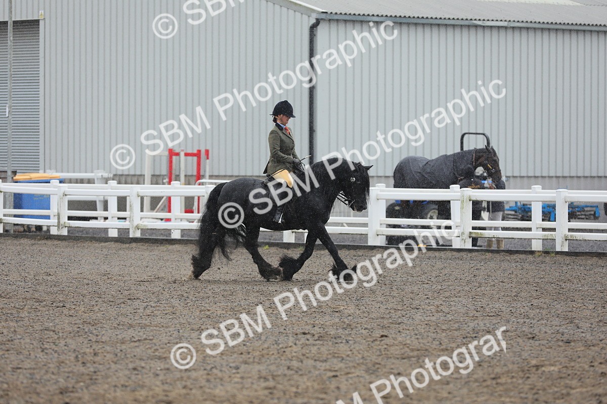 SBM_20580 - Class 804 - Ridden Veteran Pony