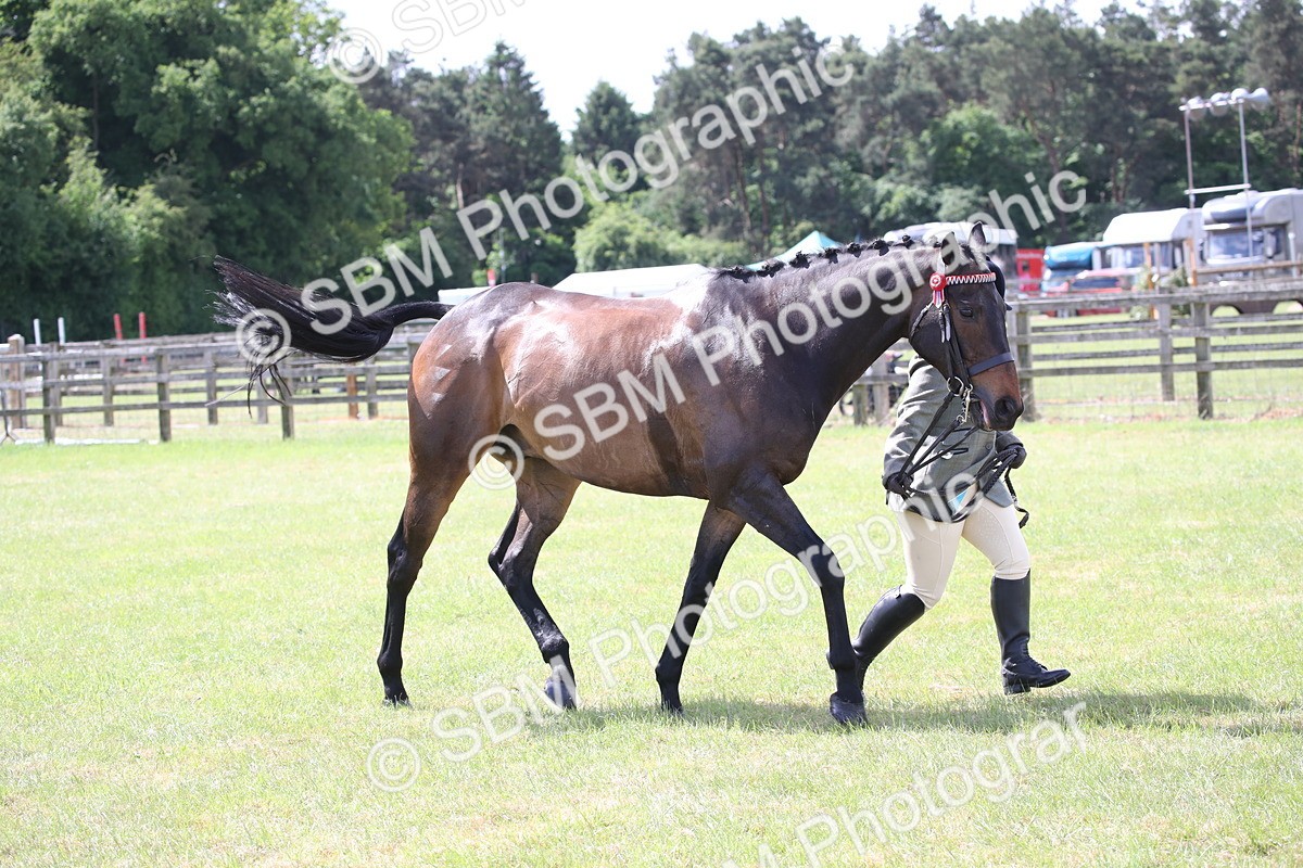 SBM_14224 - Class 113-114 - Retraining of Racehorses Ridden