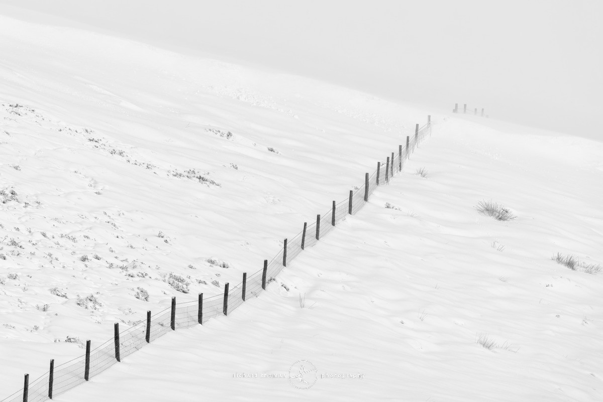 Drift over - WINTER