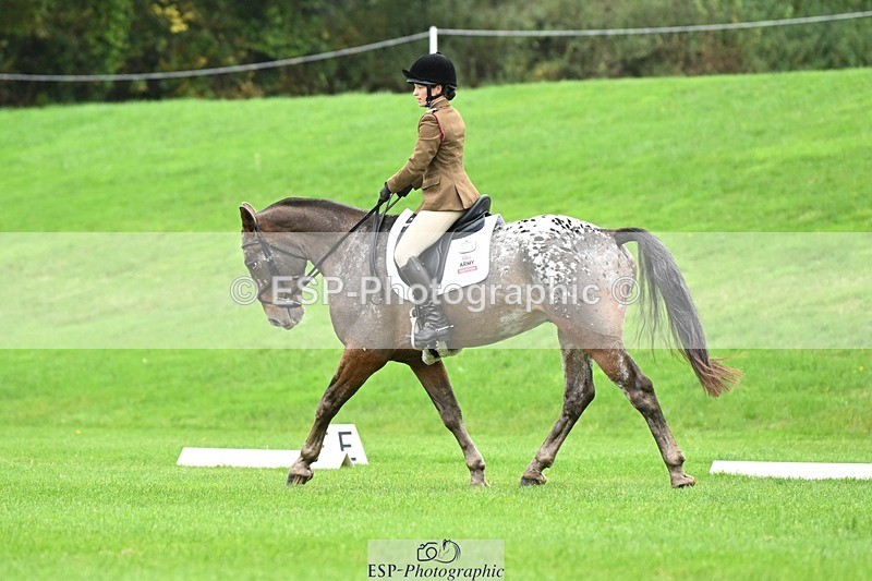 241024-105040-03065 - 501-Captain.Holly.Day-MUSTANG