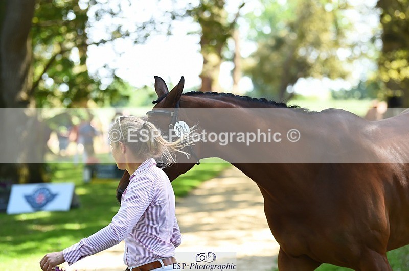 230524-150604-00066 - 381-CAROLINES_AIR_KM-Izzy_Taylor-WEDTrotUp+DR