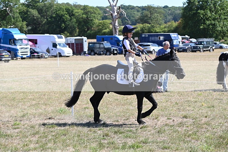 WJ6_8384 - Class 37a Best Loan Pony Ridden