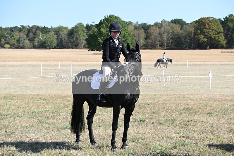 WJ6_7607 - Class 34 Judges Choice